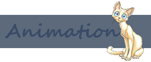 Animation